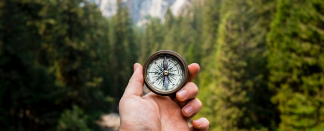 person holding compass facing towards green pine trees